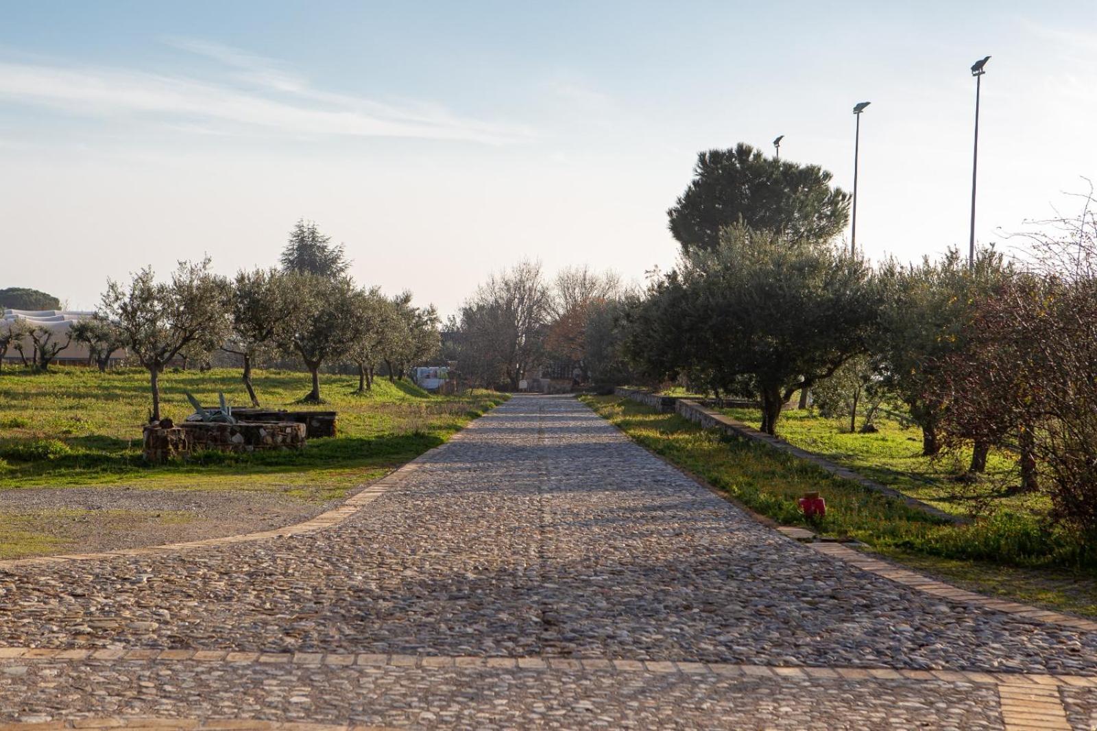 Agriturismo Masseria Fonte Di Maroglio Castrovillari Extérieur photo